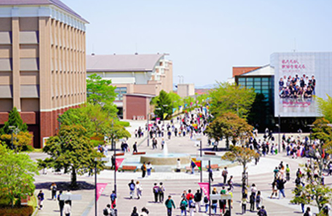 Program, College, and Course Information