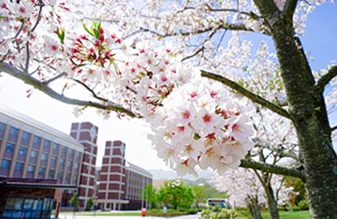 Procedures after Application