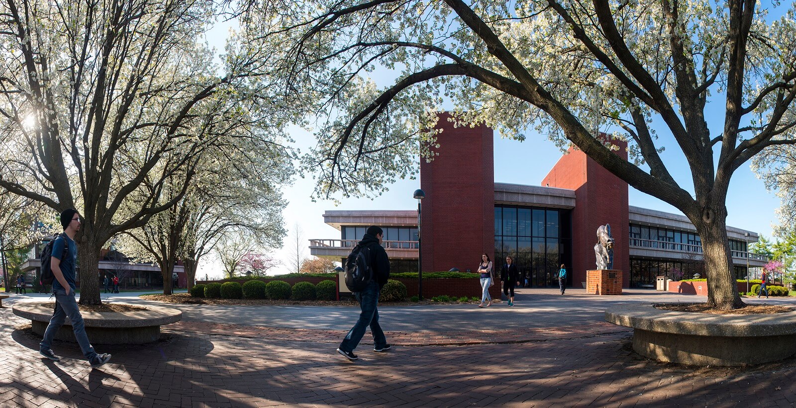 Southern Illinois University Edwardsville