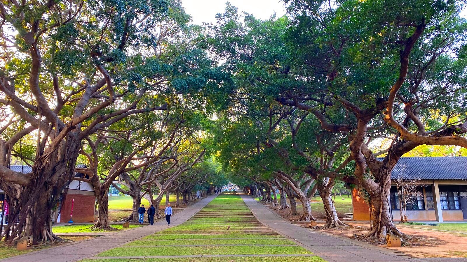 Tunghai University