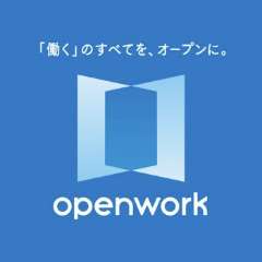 openwork