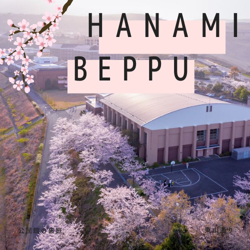 EXPLORE THE JAPANESE CULTURE: What is お花見 – HANAMI?