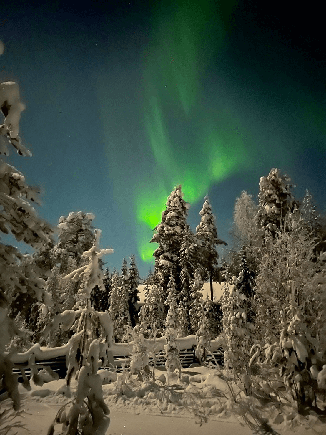 Around Christmas, you might see the Northern Lights and Father Christmas.