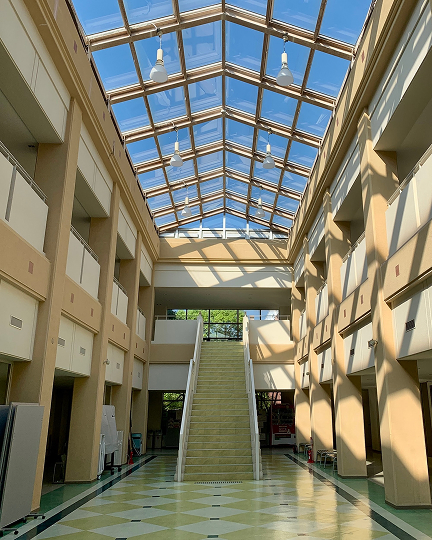 Look at the afternoon glow in the F Building! This is where most classes take place