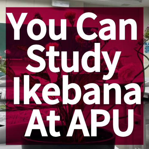 You Can Study Ikebana at APU?!