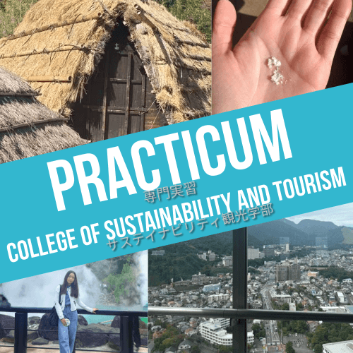 Practicum—An Opportunity to Learn Practically in ST
