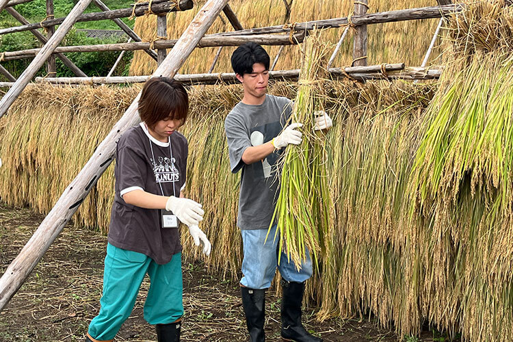 Noto Satoyama and Satoumi: Regional Recovery and Sustainability through a Globally Important Agricultural Heritage System