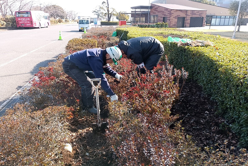 Tree capture planting (along Route 2, APU campus) in progress